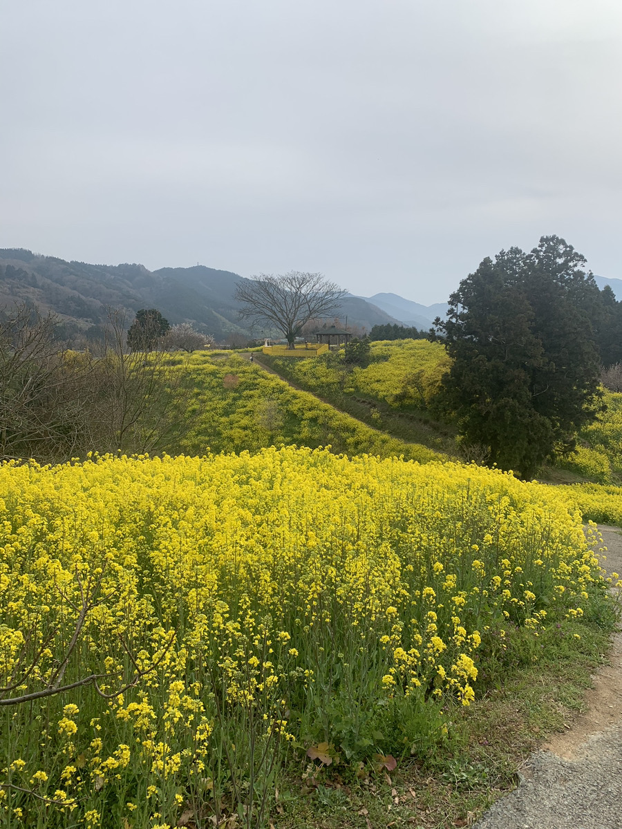 もうすぐ３月！春が来る！