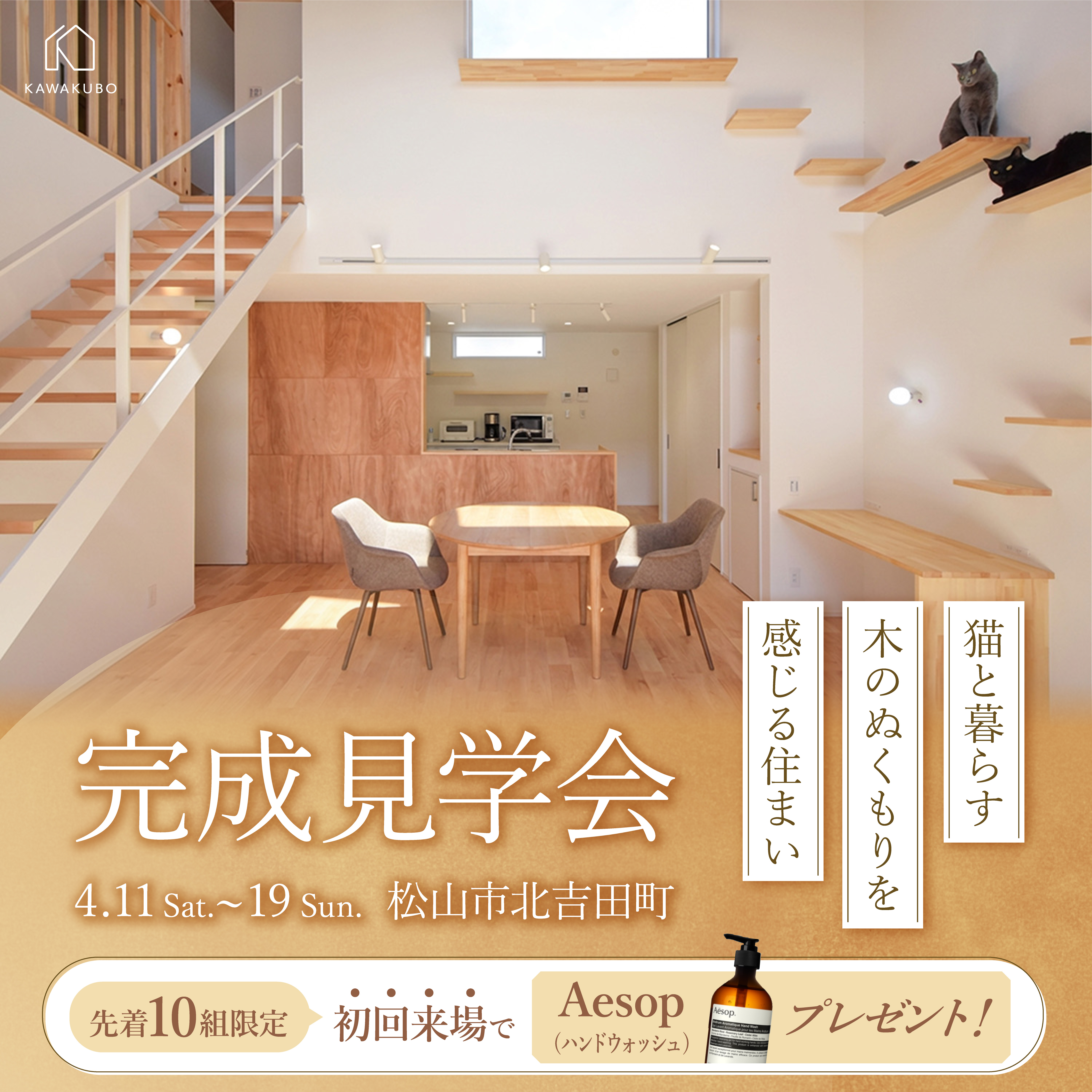 猫と暮らす 木のぬくもりを感じる住まい