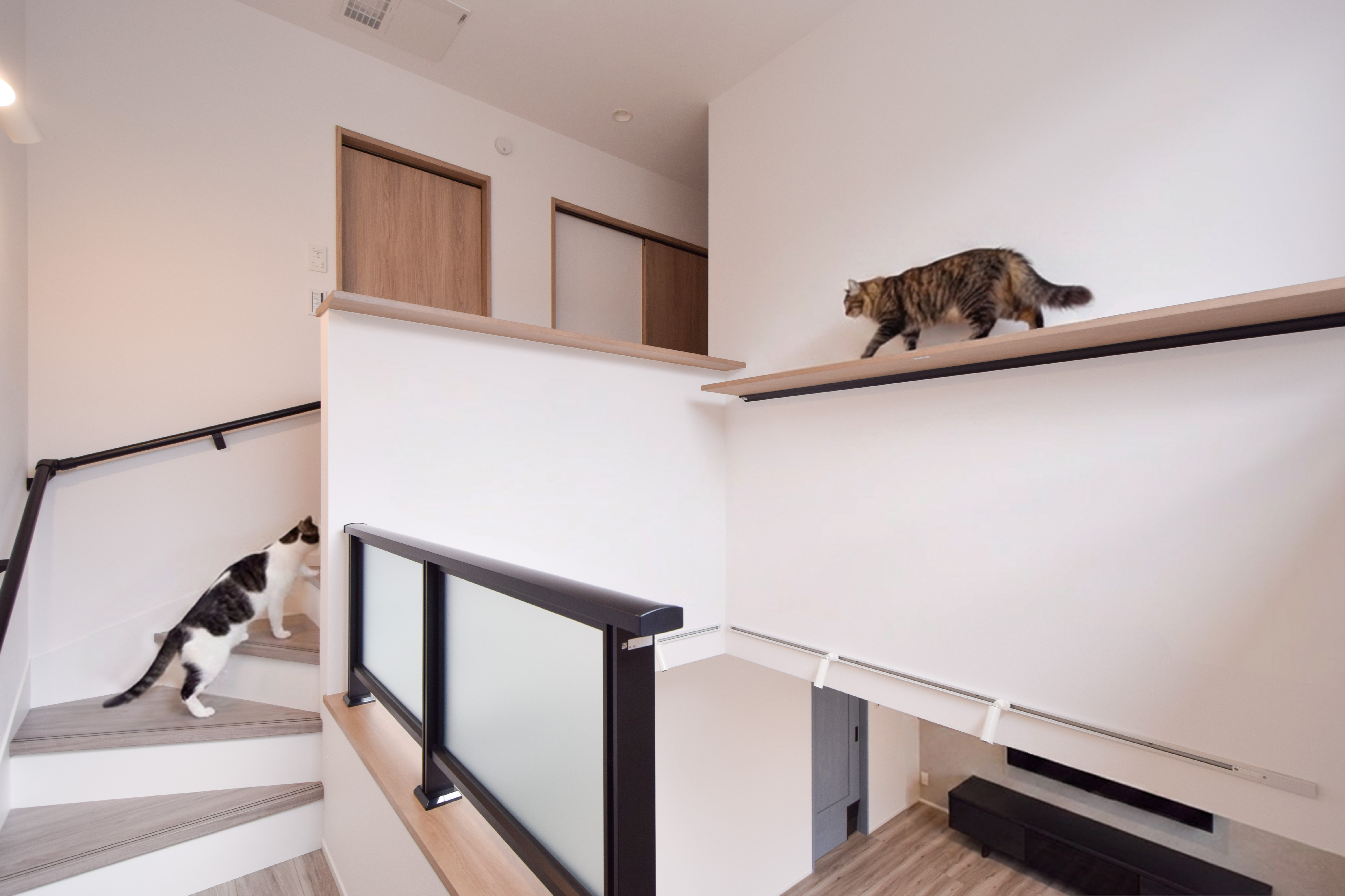 猫の運動不足を解消する吹き抜けキャットウォーク。板材は猫が滑らない、足腰にやさしいものを採用。